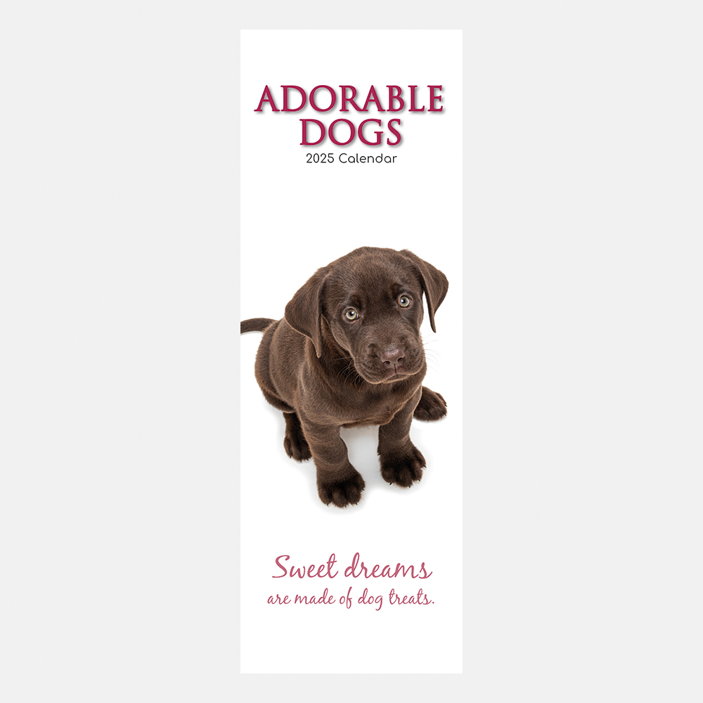 2025 Slimline Calendar Adorable Dogs Wholesale Stationery