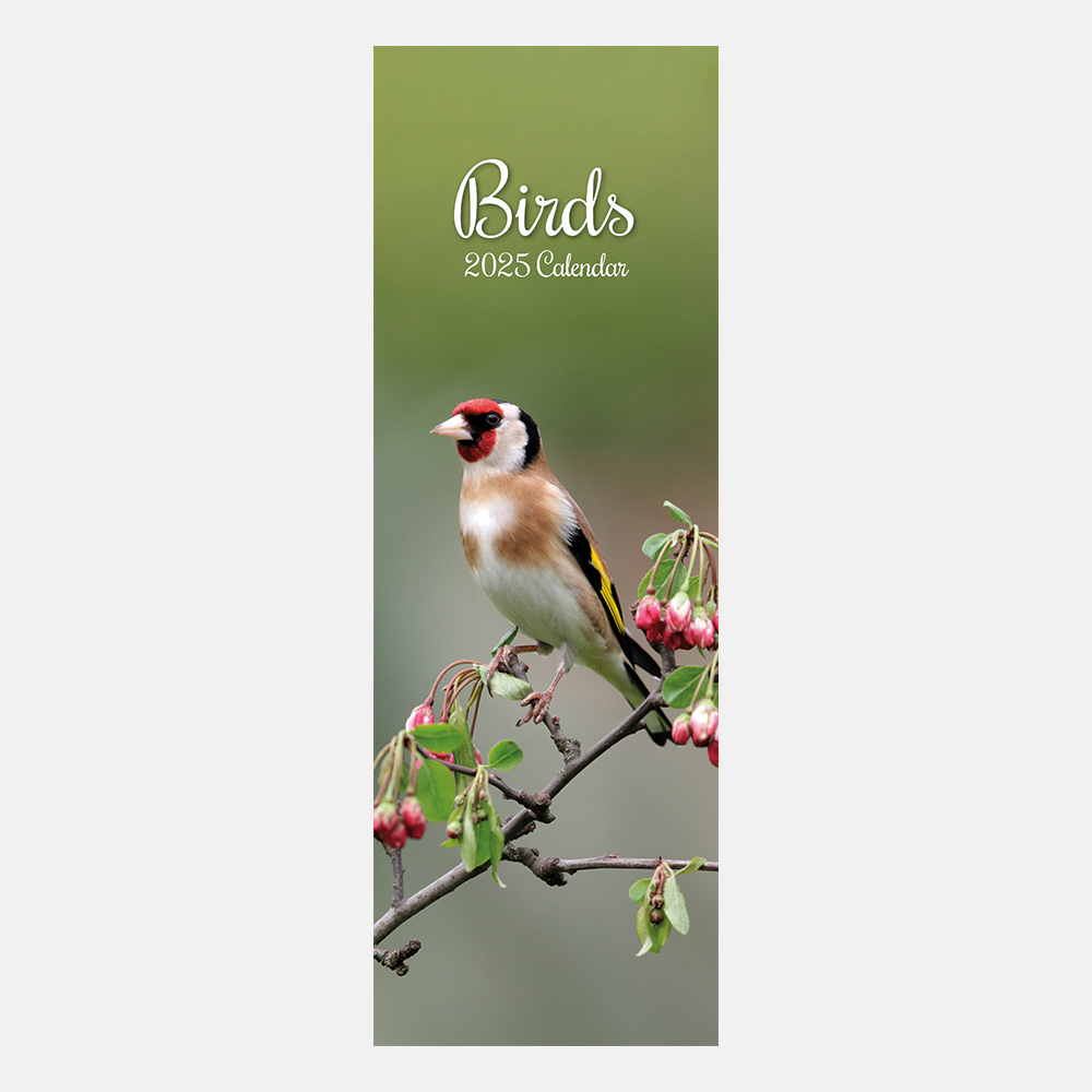 2025 Slimline Calendar Birds Wholesale Stationery