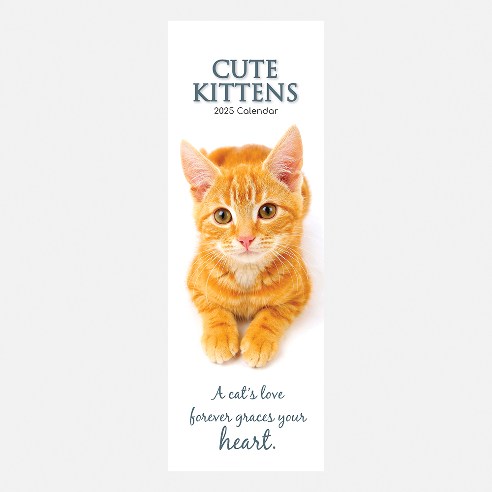 2025 Slimline Calendar Cute Kittens Wholesale Stationery