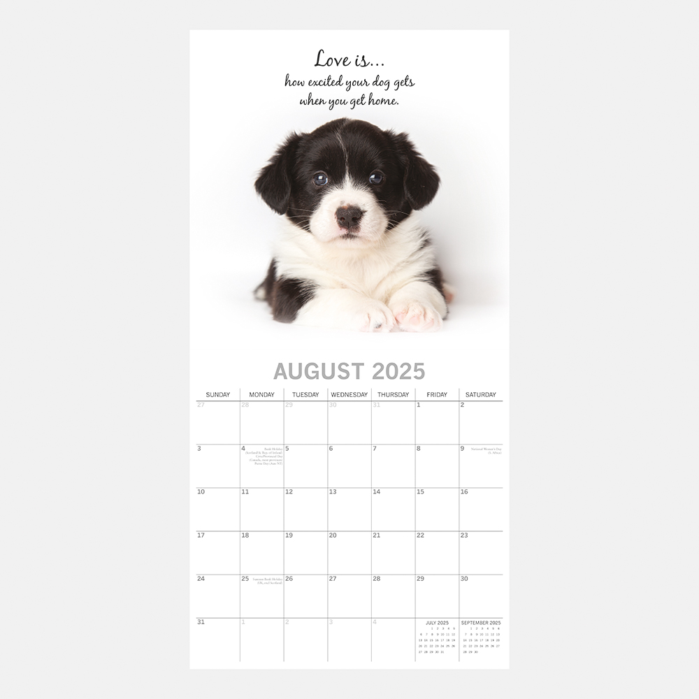 2025 Square Wall Calendar Adorable Dogs Wholesale Stationery