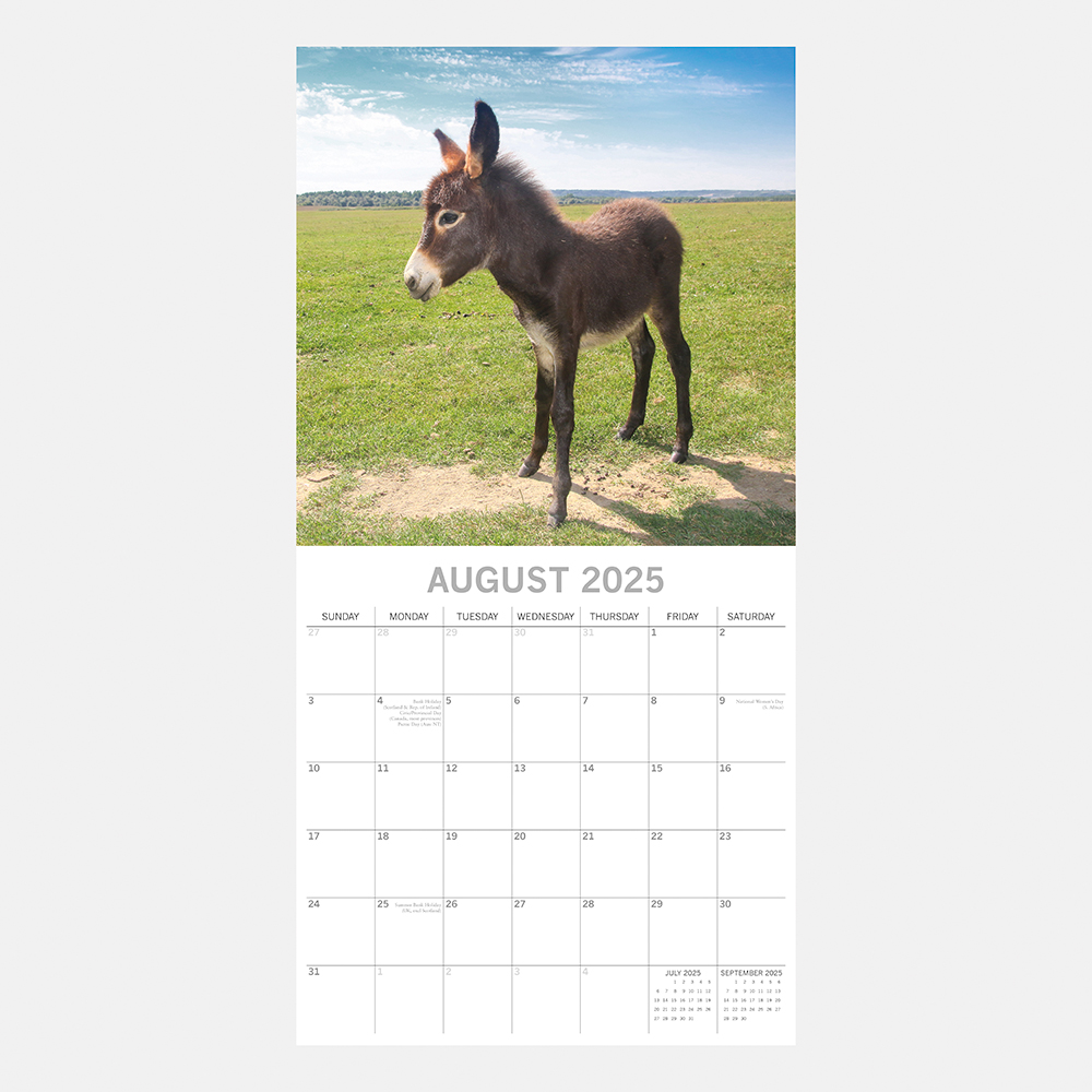 2025 Square Wall Calendar Baby Animals Wholesale Stationery