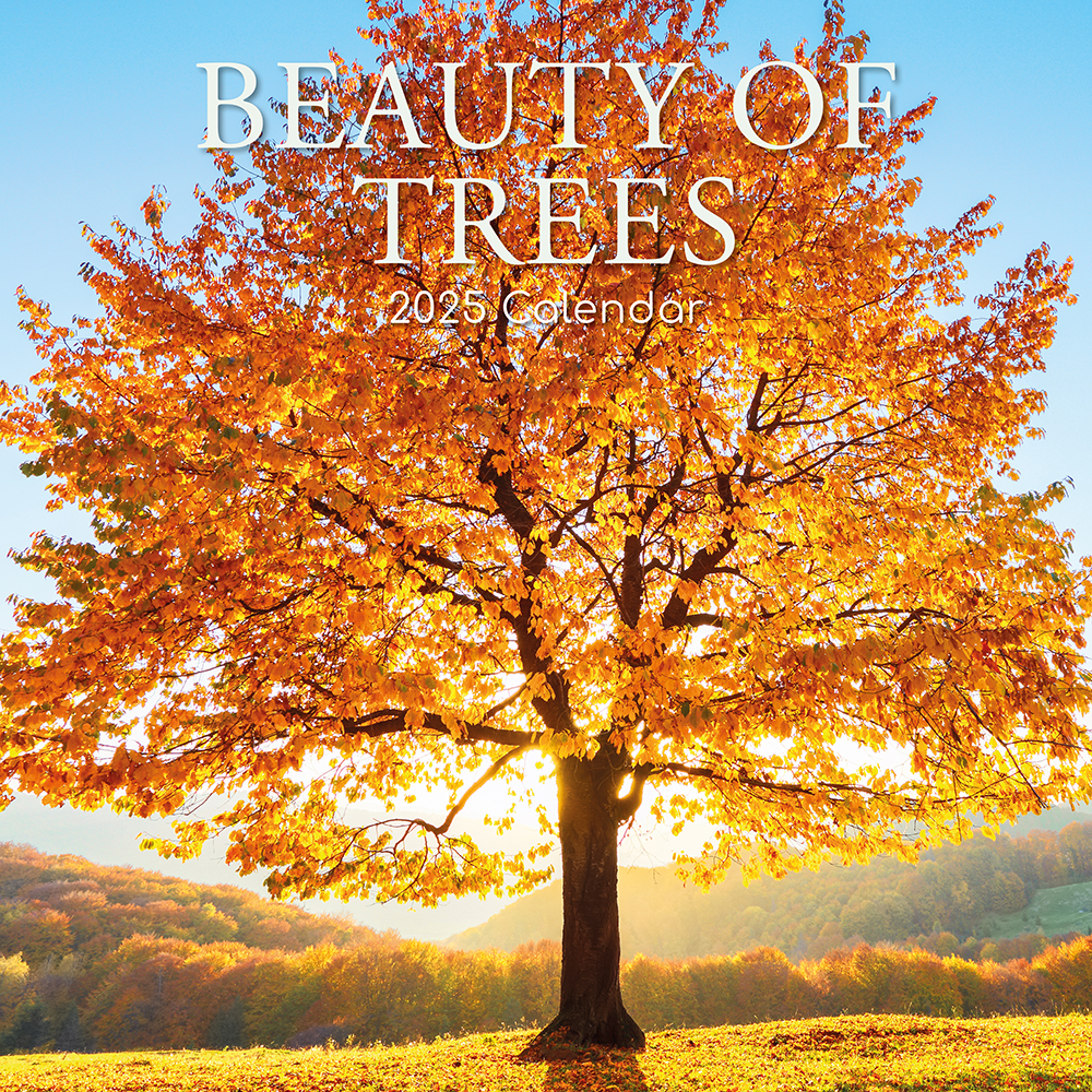 2025 Square Wall Calendar Beauty of Trees Wholesale Stationery