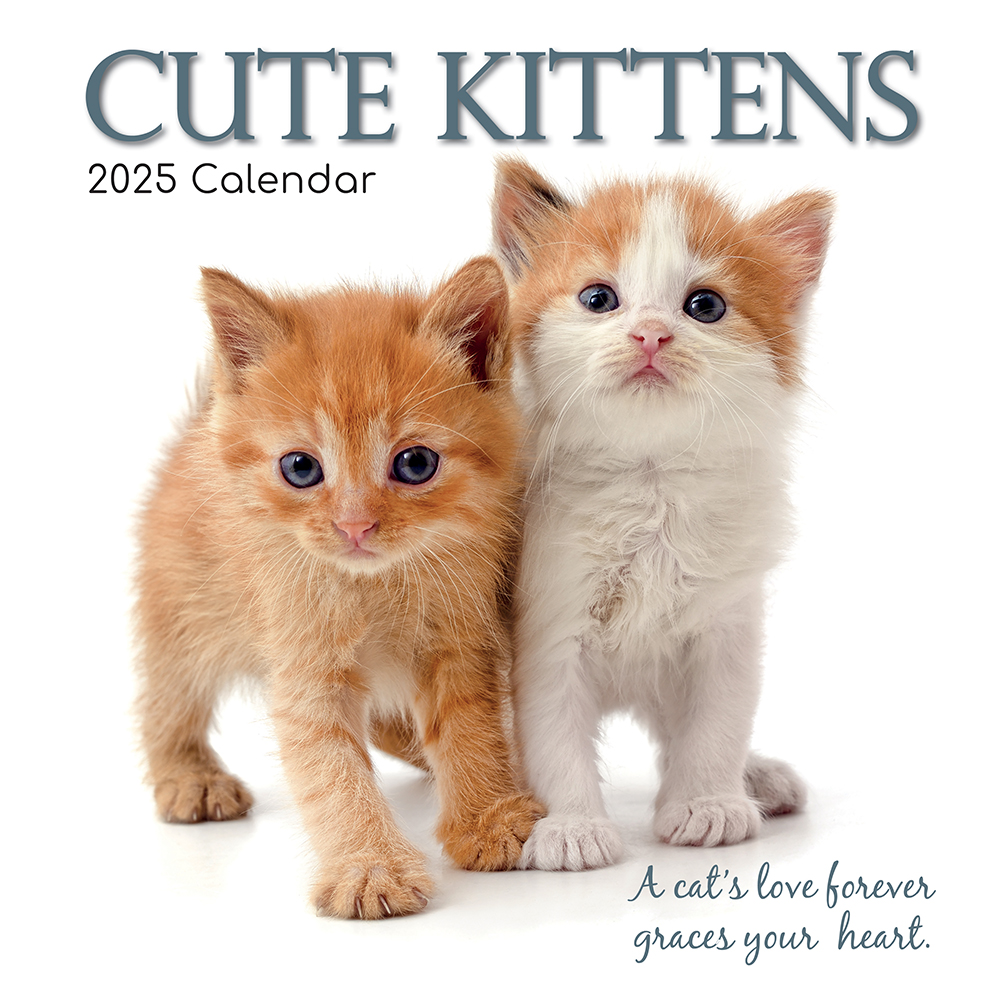 2025 Square Wall Calendar Cute Kittens Wholesale Stationery