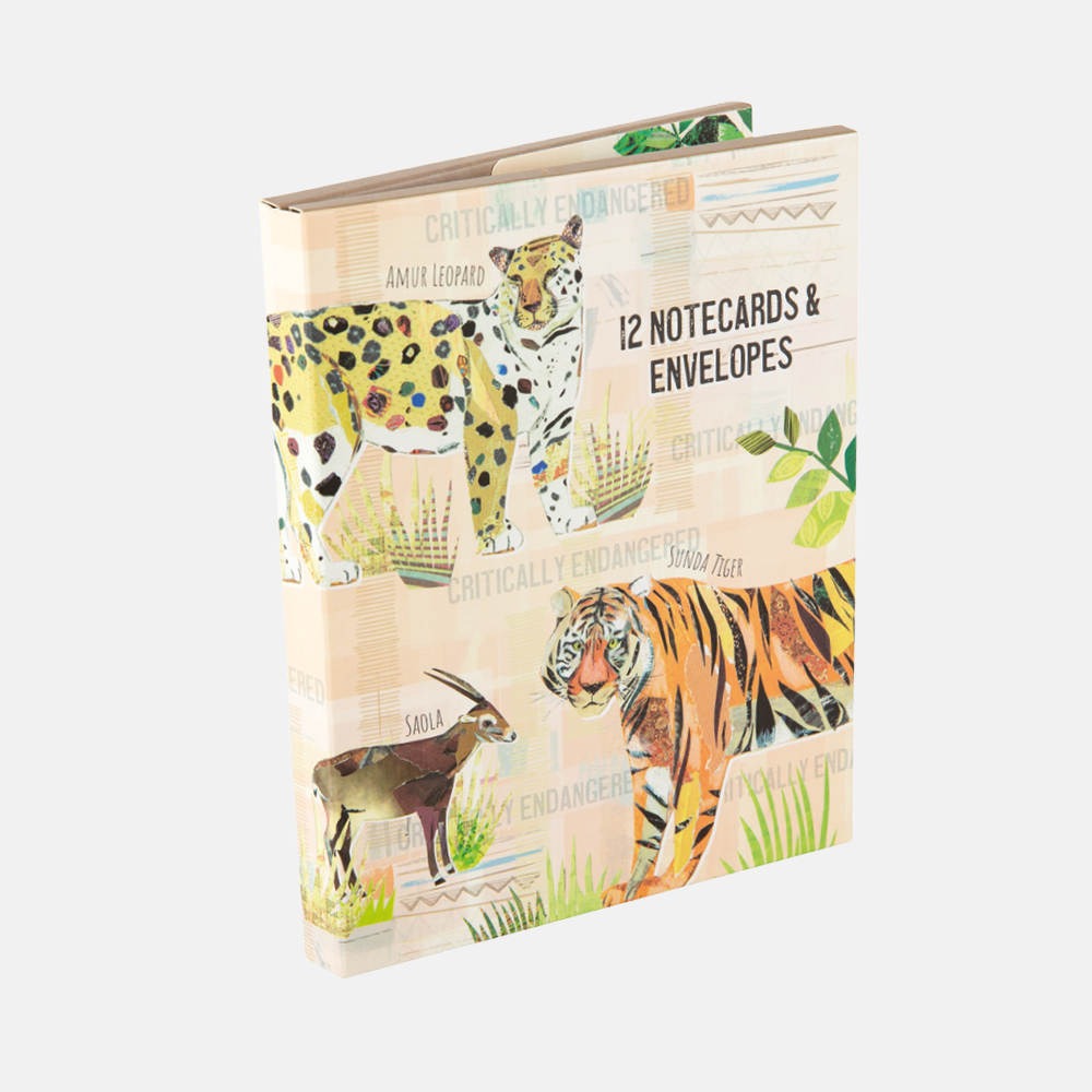 Notecard Wallet - Endangered | Wholesale Stationery