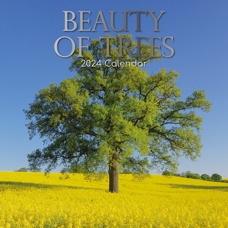2024 Square Wall Calendar - Beauty of Trees - The Gifted Stationery Company