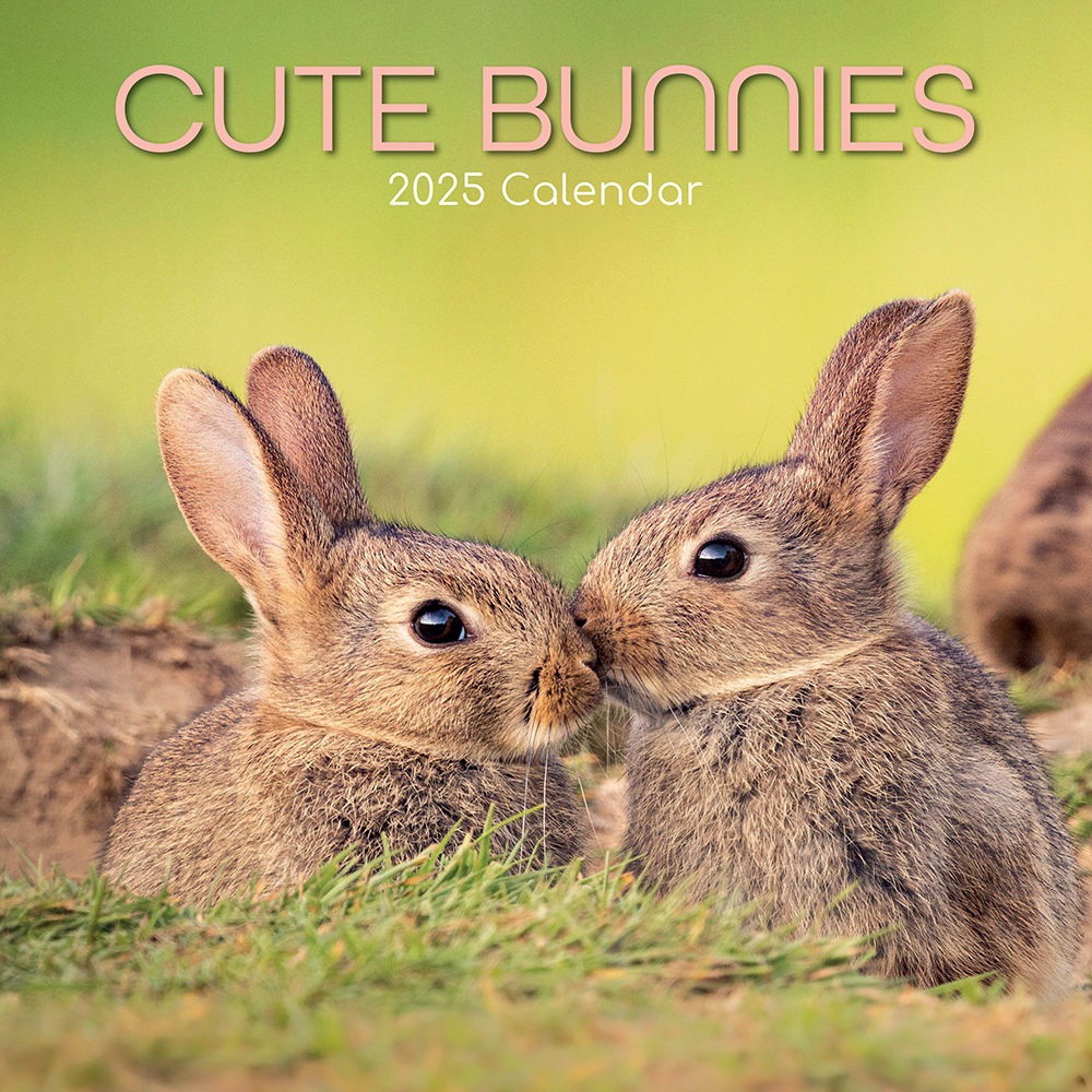 2025 Square Wall Calendar Cute Bunnies Wholesale Stationery