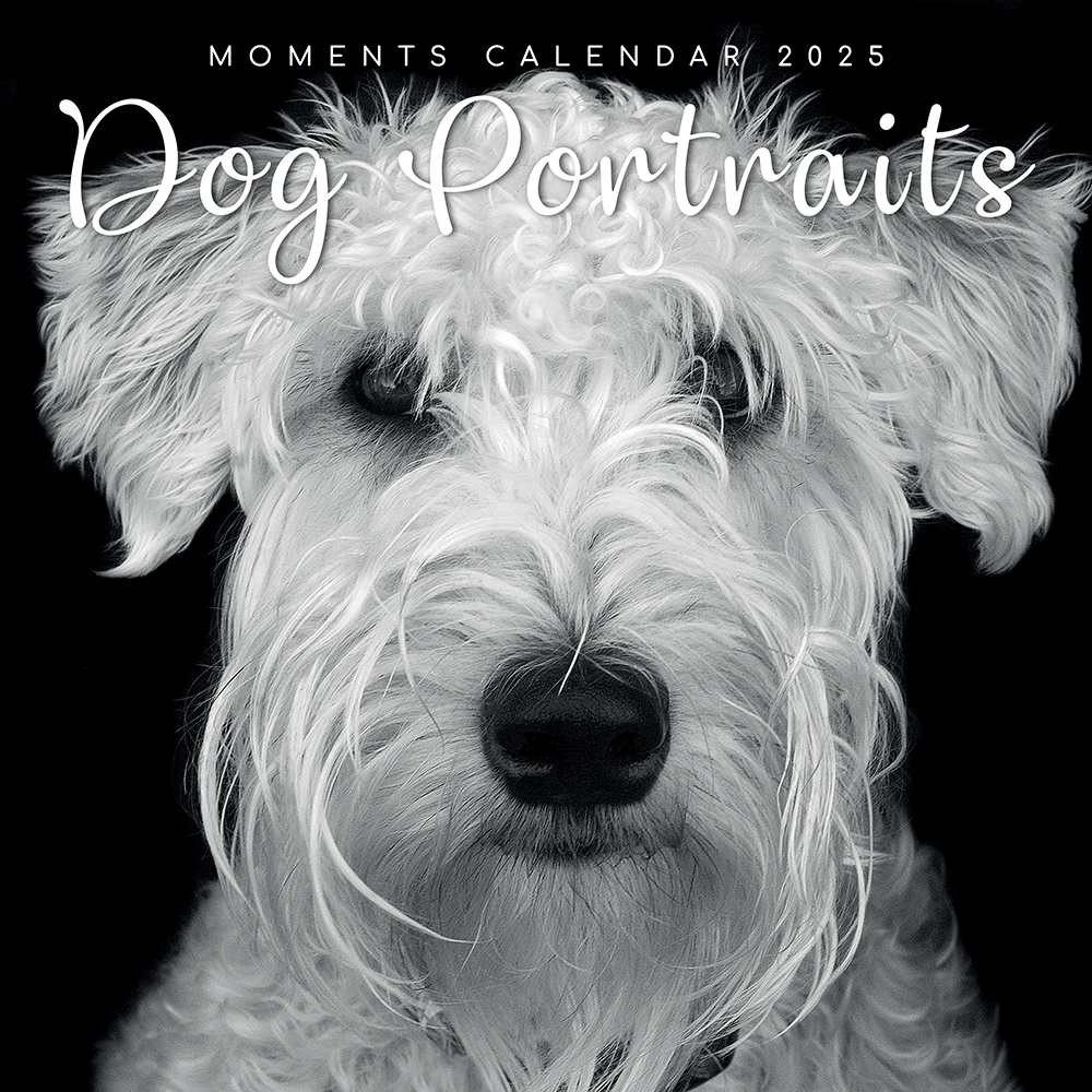 2025 Square Wall Calendar Dog Portraits Wholesale Stationery