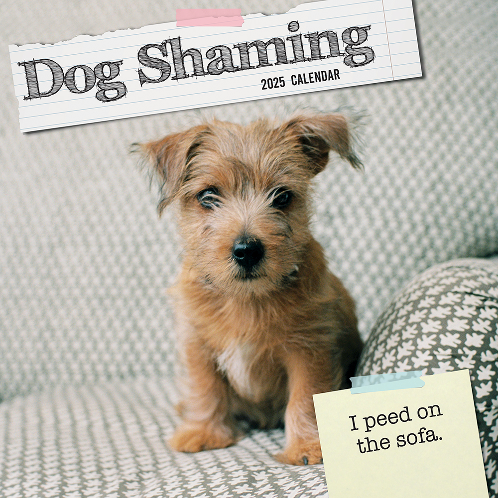 2025 Square Wall Calendar Dog Shaming Wholesale Stationery