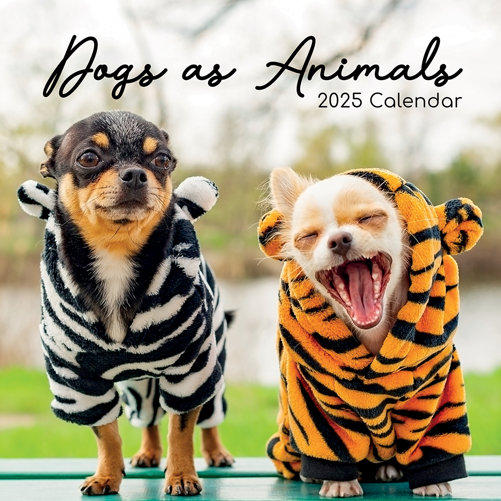 2025 Square Wall Calendar - Dogs as Animals  Wholesale Stationery