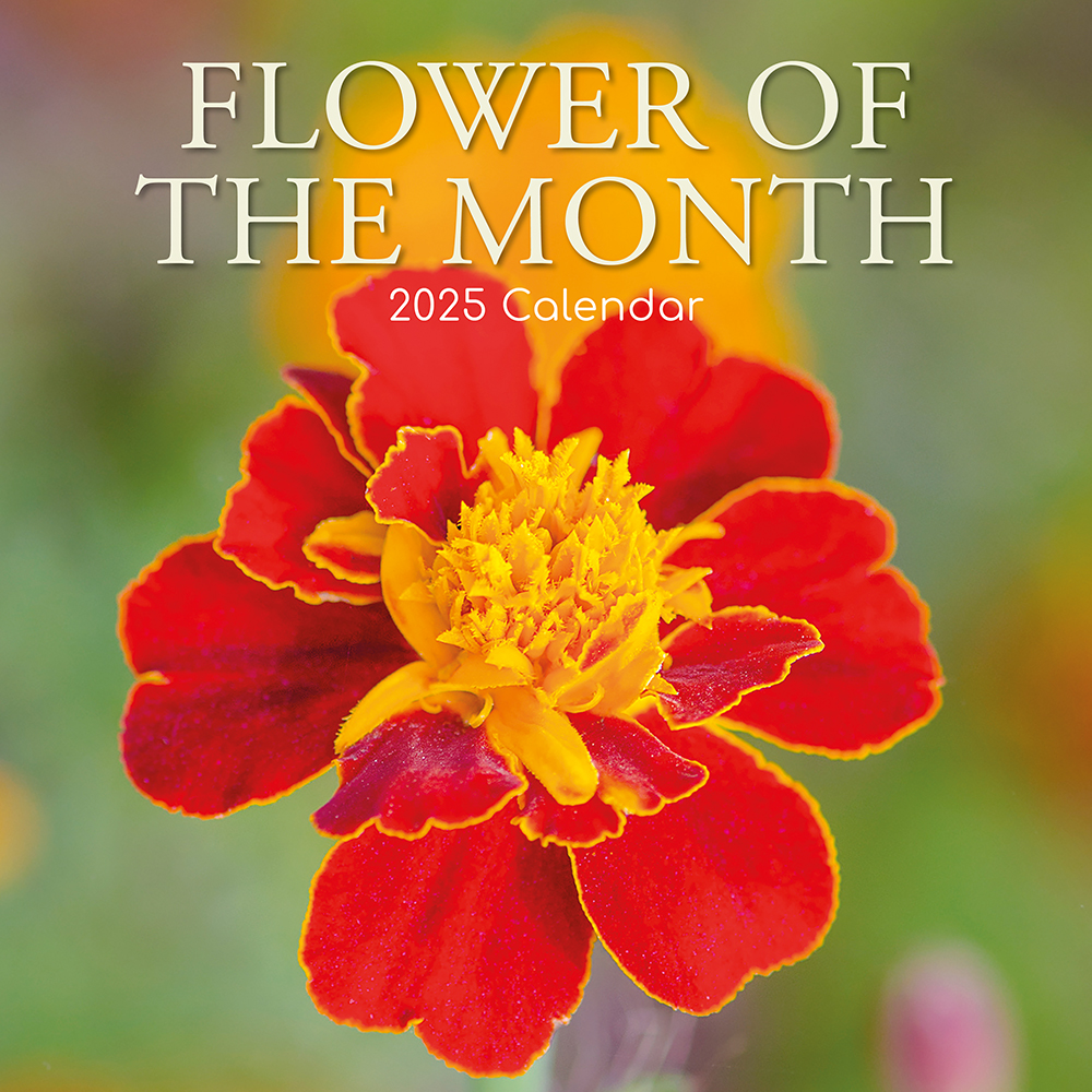 2025 Square Wall Calendar Flower of the Month Wholesale Stationery