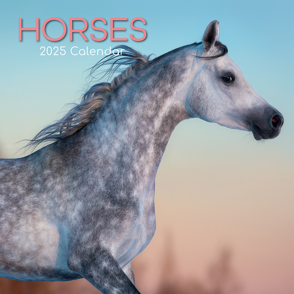 2025 Square Wall Calendar Horses Wholesale Stationery