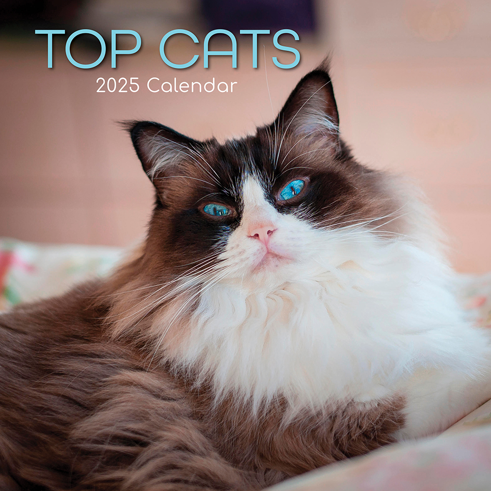 2025 Square Wall Calendar Top Cats Wholesale Stationery