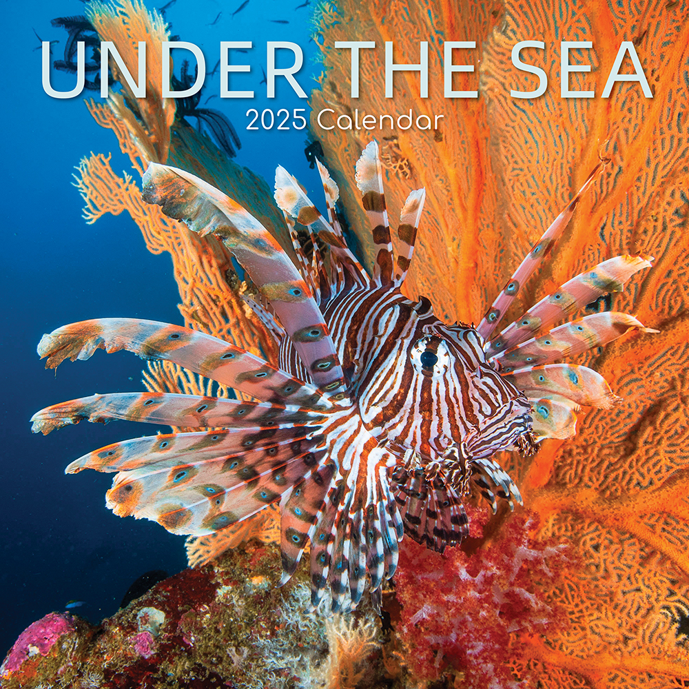 2025 Square Wall Calendar Under the Sea Wholesale Stationery