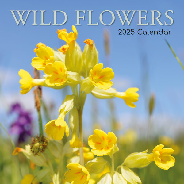 2025 Square Wall Calendar Wild Flowers Wholesale Stationery