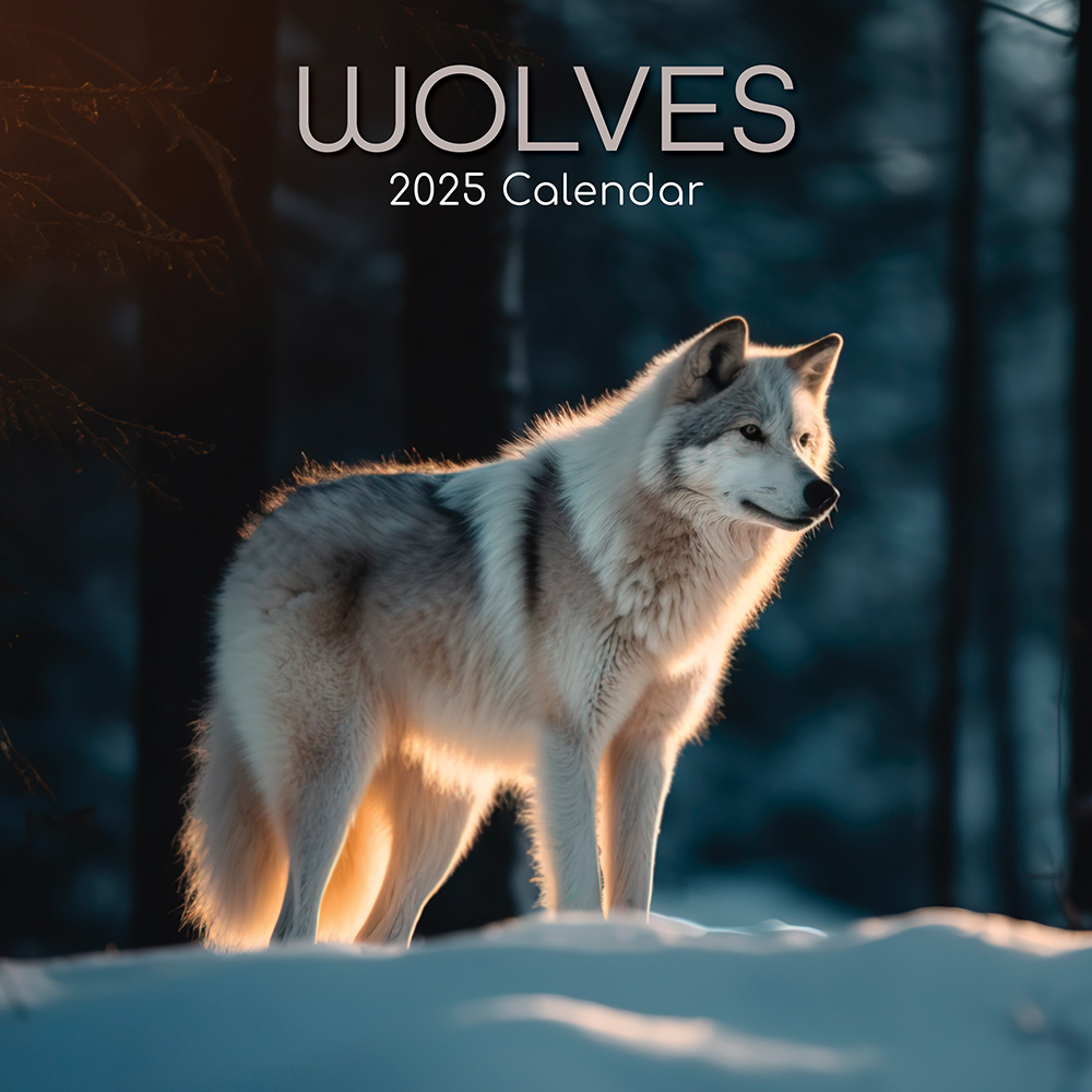 2025 Square Wall Calendar Wolves Wholesale Stationery