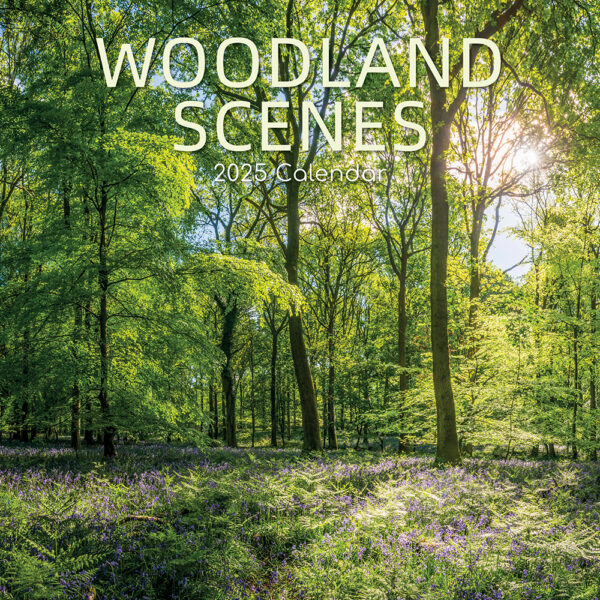 2025 Square Wall Calendar Woodland Scenes Wholesale Stationery