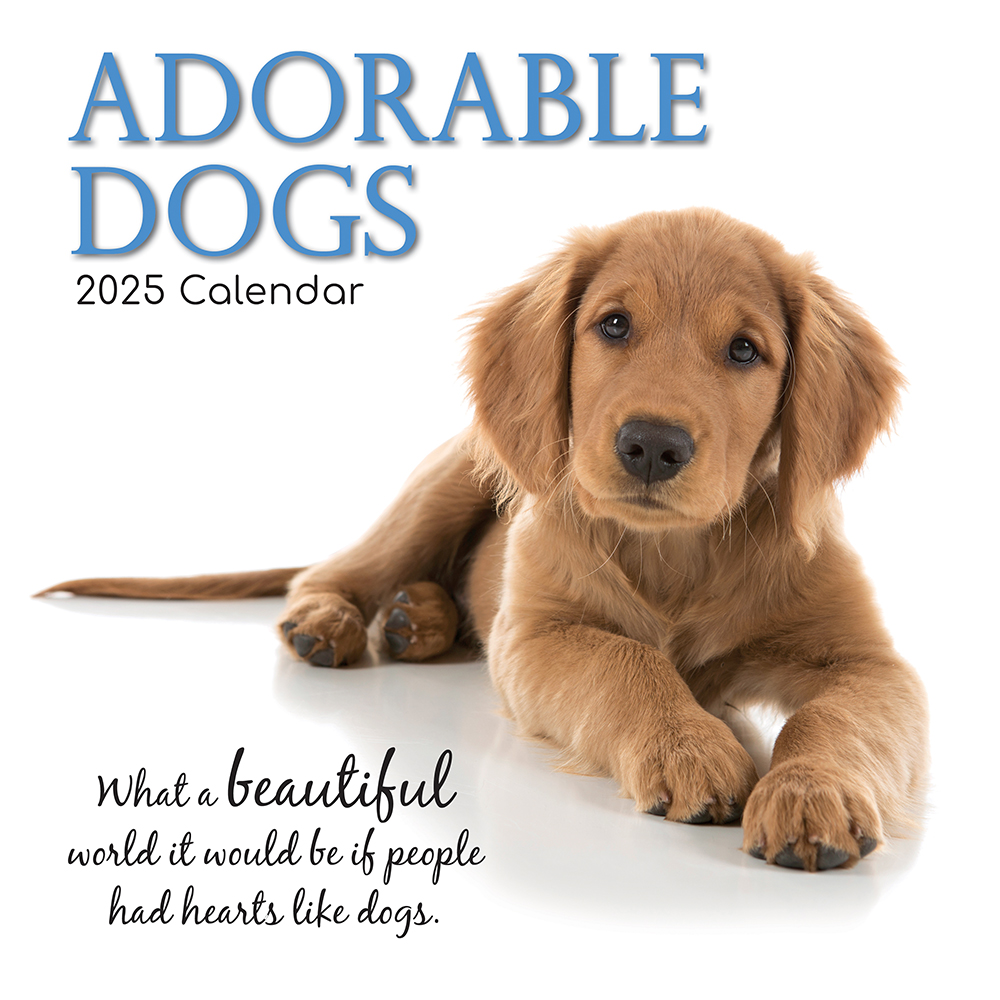 Funny Dog Calendars 2025 Pdf