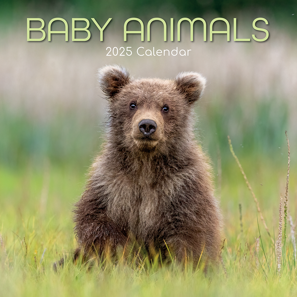 2025 Calendar Animal