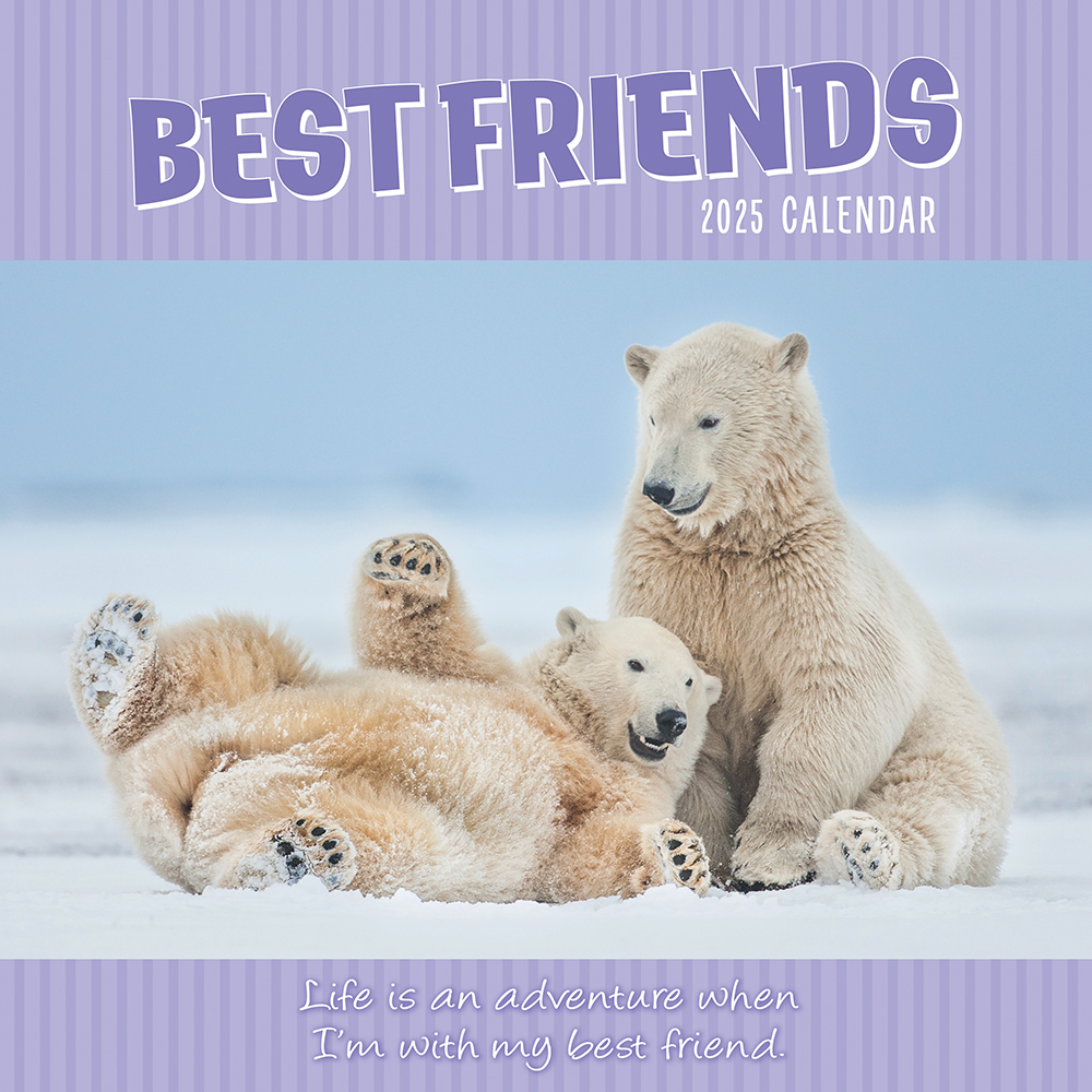 2025 Square Wall Calendar Best Friends Wholesale Stationery