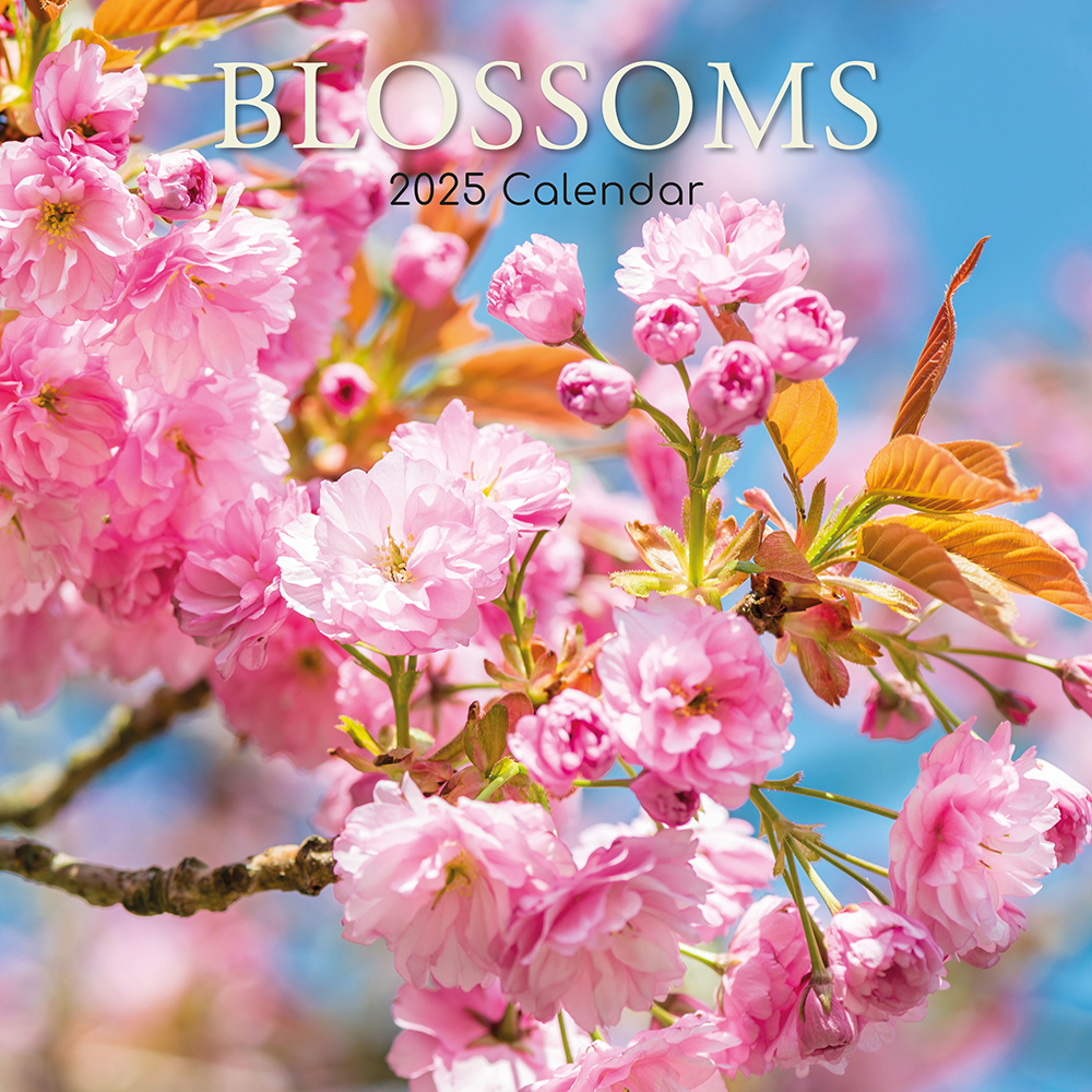 2025 Square Wall Calendar Blossoms Wholesale Stationery