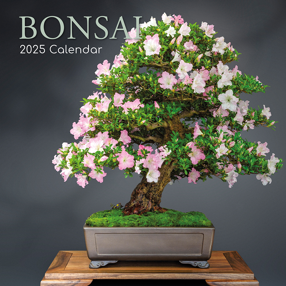 2025 Square Wall Calendar Bonsai Wholesale Stationery