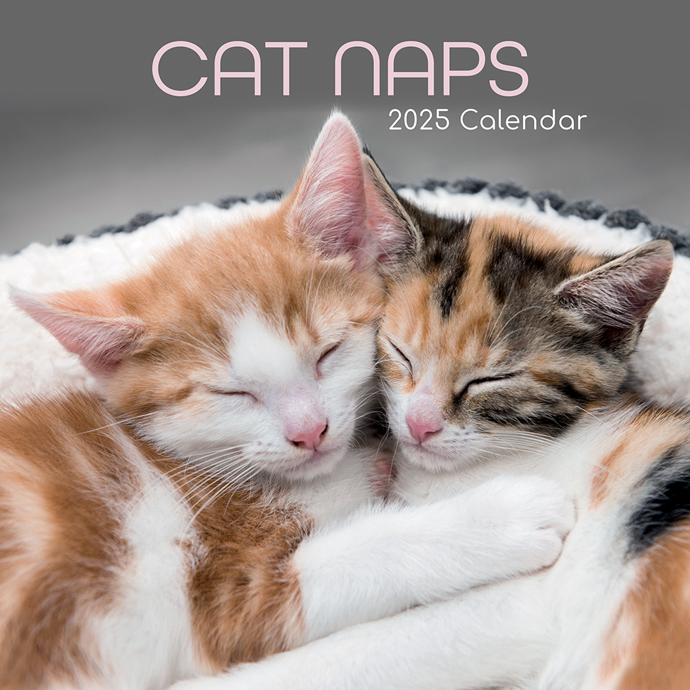 Monthly Cat Calendar 2025 