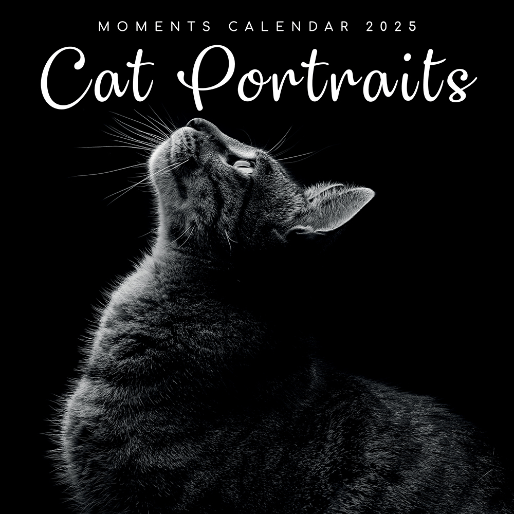 2025 Square Wall Calendar Cat Portraits Wholesale Stationery