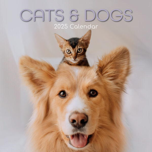 2025 Square Wall Calendar Cats & Dogs Wholesale Stationery