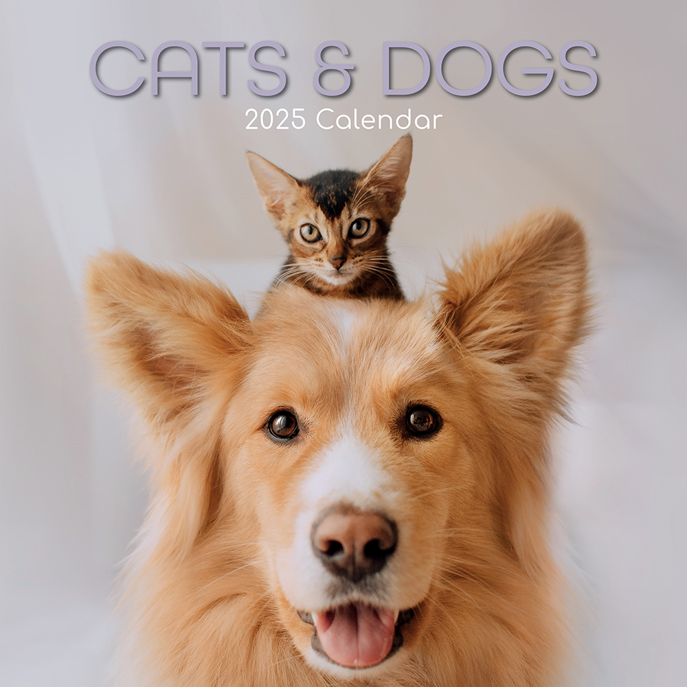 Near Bad Cats Calendar 2025