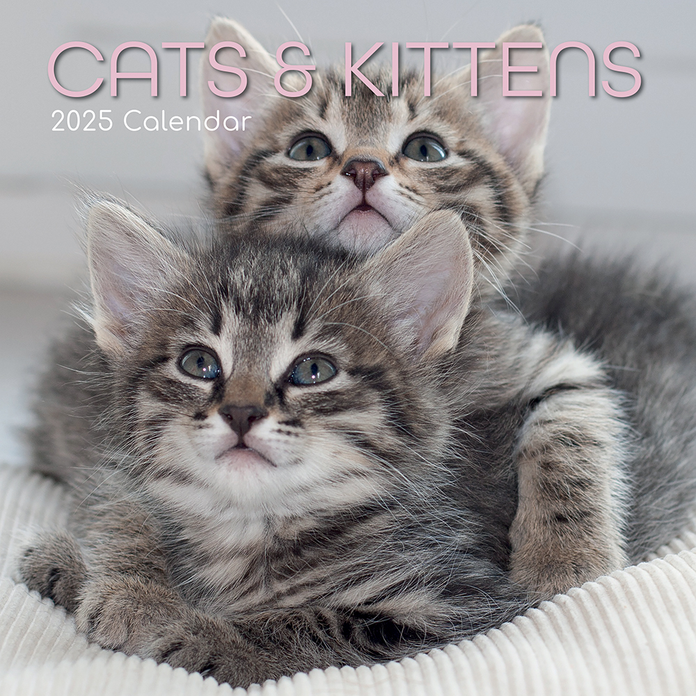 2025 Square Wall Calendar Cats & Kittens Wholesale Stationery