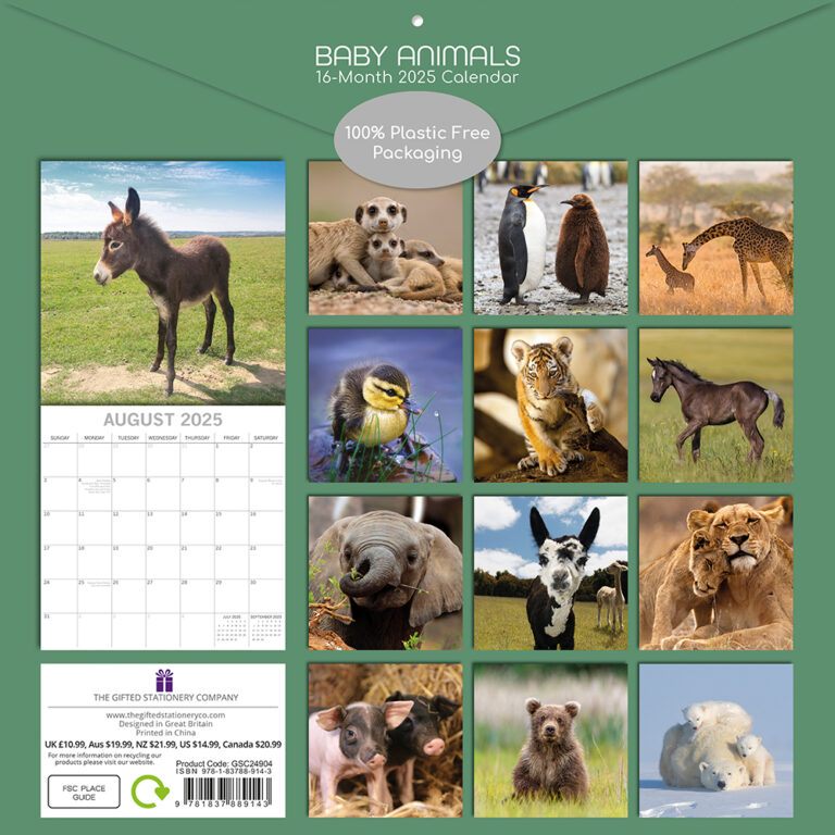 2025 Square Wall Calendar Baby Animals Wholesale Stationery