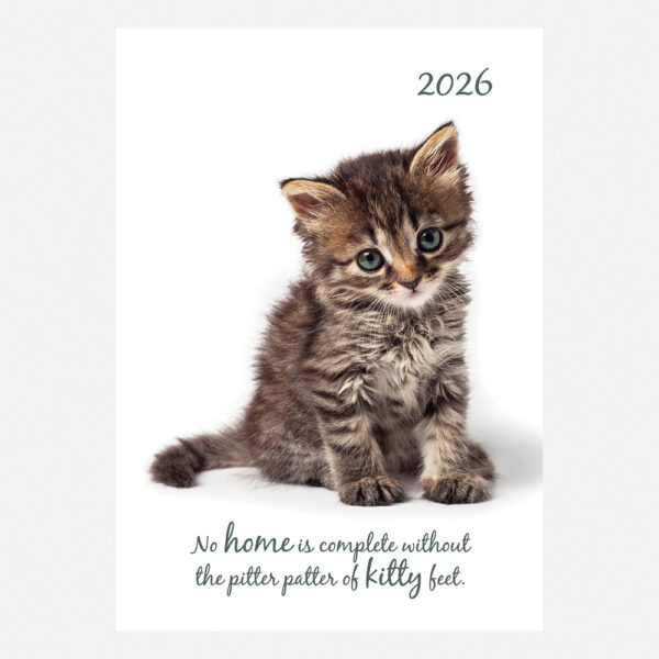 2026 A5 Padded Diary - Cute Kittens