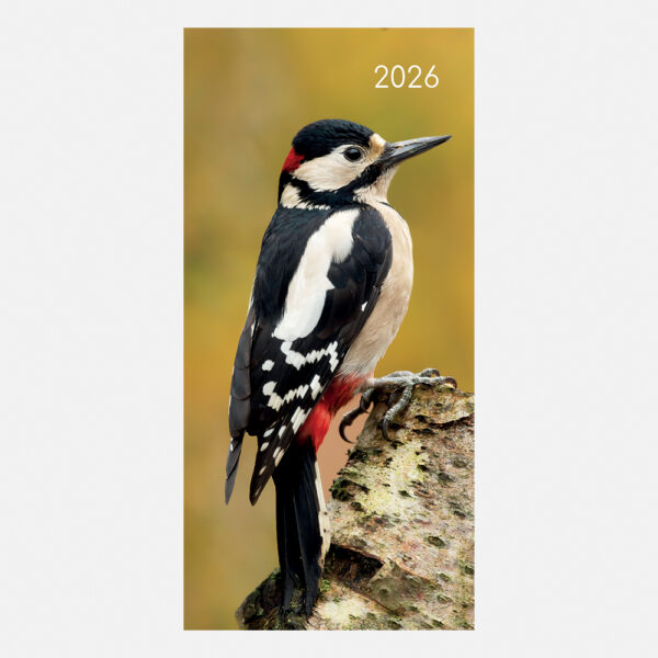 2026 Pocket Diary - Birds